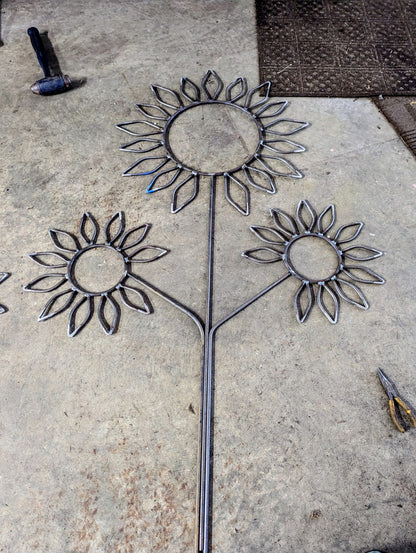 Sunflowers