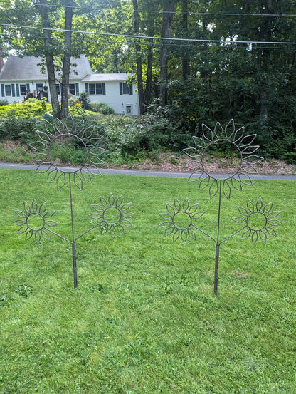 Sunflowers